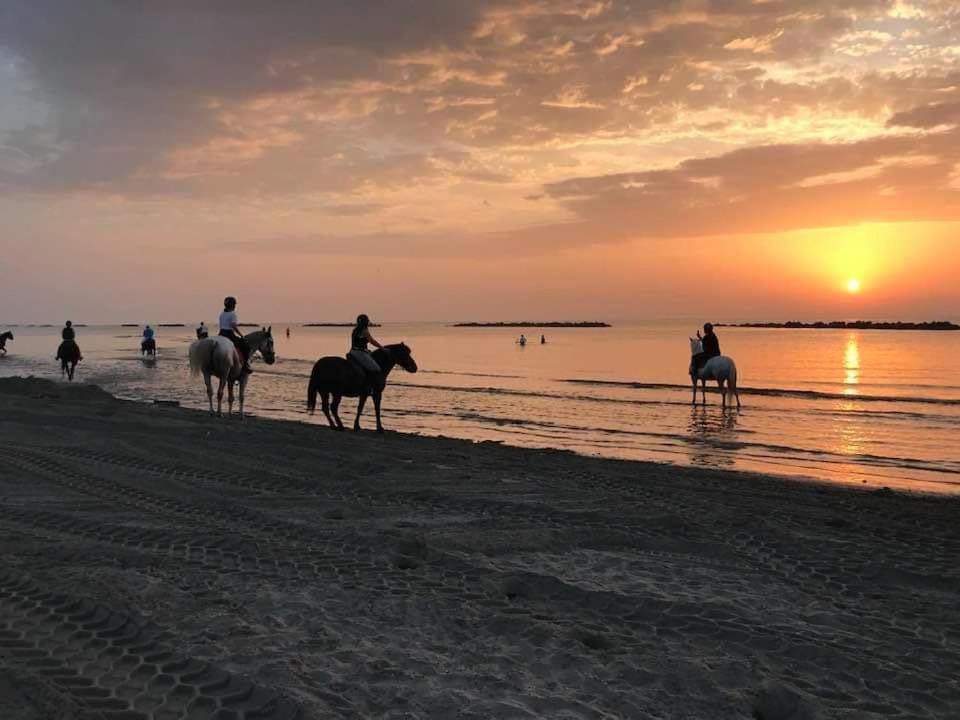 Villa Demi Lido di Pomposa Εξωτερικό φωτογραφία